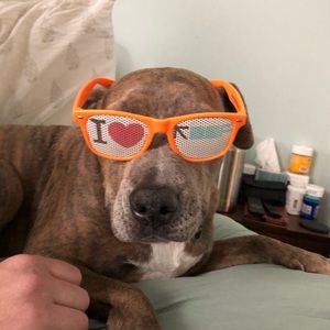 Meet your Posher, Kristen